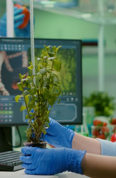 Plant Tissue Culture Laboratory in Maharashtra